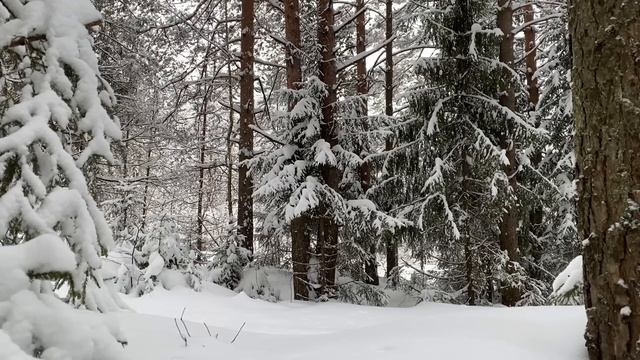 СВЕКРОВЬ ПРИЕХАЛА С ЧЕМОДАНАМИ... | Истории из жизни. смотреть онлайн