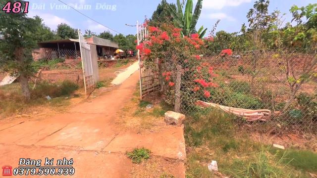 🔴 Bán hơn 3300m2 thế dương cao thoáng view đẹp,nhà sẵn đang ở,trung tâm,800m thổ cư Lh 0379.590.939 смотреть онлайн