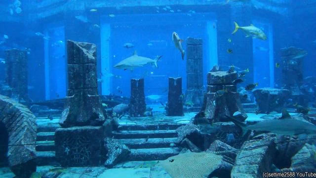 Huge Aquarium at Dubai Atlantis The Palm Hotel and Centre. United Arab Emirates смотреть онлайн