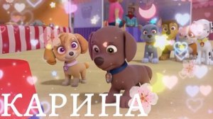 ?зума и скай ?клип на 401 подпищеков ?