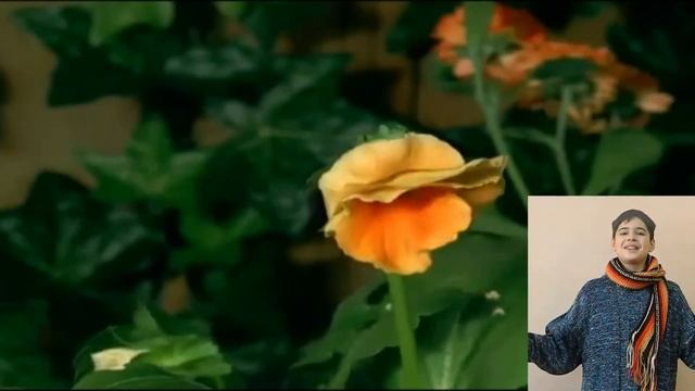 Mrs.J.I. McKinney. Why I Smile