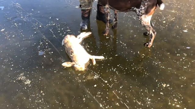 Рыбалка в Маково. Декабрь 2022г. смотреть онлайн