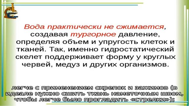 7 советов для тех, кто ненавидит гладить смотреть онлайн