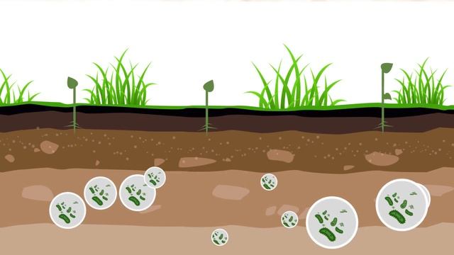 Биодеструктор стерни Экостерн