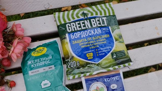 САМАЯ ВАЖНАЯ ОСЕННЯЯ ОБРАБОТКА! ВСЁ про ЖЕЛЕЗНЫЙ КУПОРОС и ЧЕМ ЕЩЁ обработать САД и ОГОРОД осенью смотреть онлайн