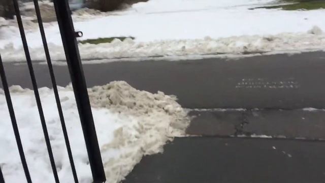 Можно и поваляться... Петербург, ул. Я.Гашека. Микрохирургия глаза им. Фёдорова. 17.11.2016, 14:40 смотреть онлайн