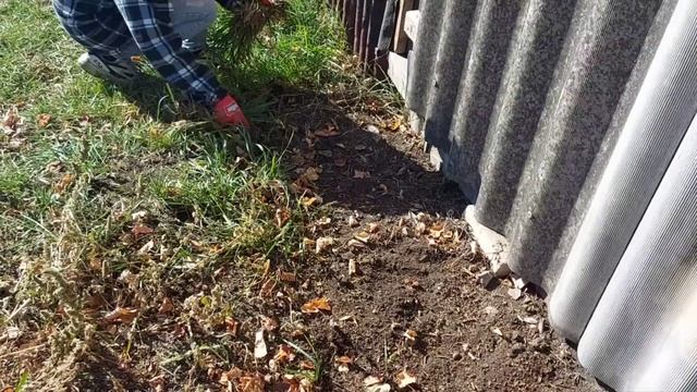 Очень продуктивный день. Переезд состоялся. смотреть онлайн