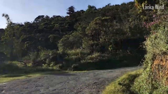 Sri Lanka | Horton Plains National Park смотреть онлайн