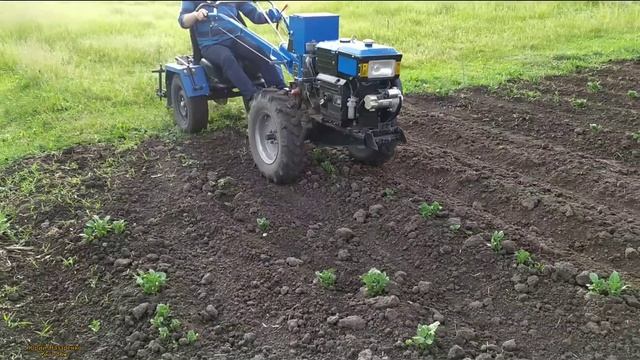 ЭТО ВАМ НЕ САПКОЙ,ОКУЧИВАНИЕ КАРТОФЕЛЯ МОТОБЛОКОМ , ДИСКАМИ ИЗ ГАЗОВОГО БАЛЛОНА/ POTATO HILLING смотреть онлайн