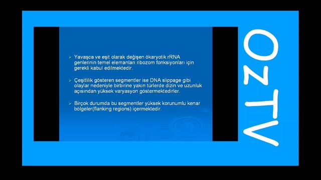 Dna barkodlaması nedir? Canlılar moleküler olarak nasıl teşhis edilirler? смотреть онлайн