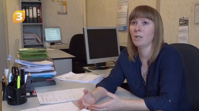 Вырубка сухостоя смотреть онлайн