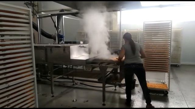 Бланширователь для паровой обработки перед сушкой и заморозкой нарезанных овощей и фруктов смотреть онлайн