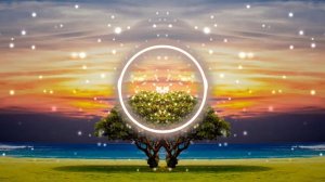 Сигма Аризона ( Музыка )