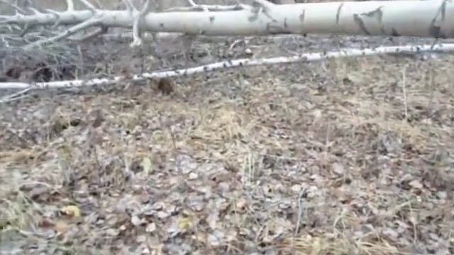 самодельный трактор смотреть онлайн