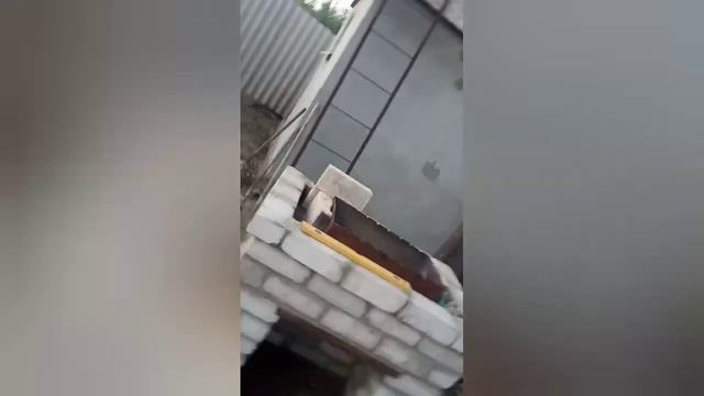 Монгал с кирпича 1 часть смотреть онлайн