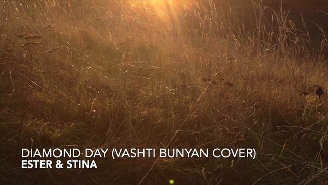 Diamond Day (Vashti Bunyan cover) смотреть онлайн