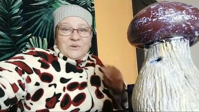 Покрываем Лаком Садовый Гриб смотреть онлайн