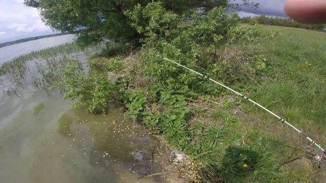 Рыбалка на Брыни) смотреть онлайн
