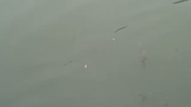 Boat Trip In Shaoguan, China смотреть онлайн