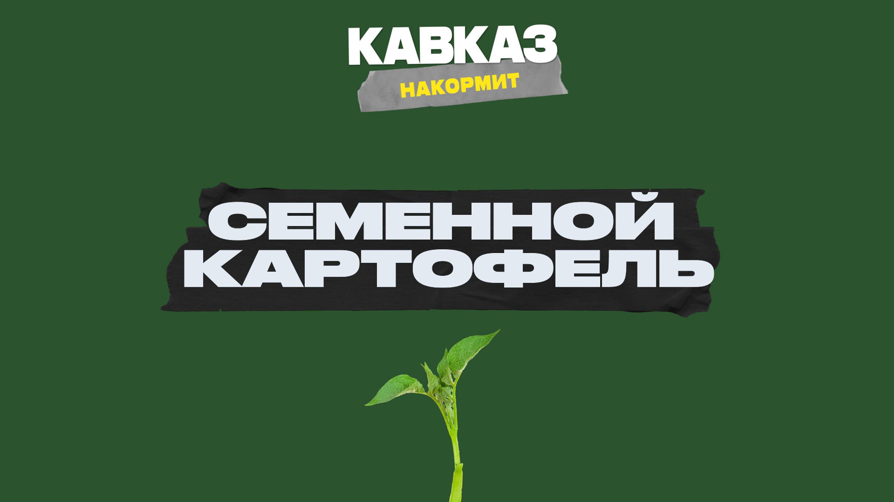 Кавказ накормит. Семенной картофель смотреть онлайн