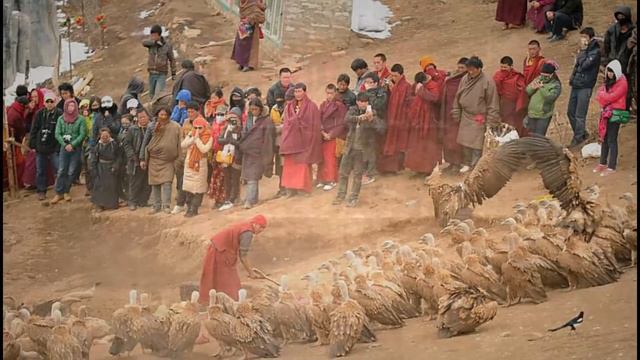 Ritual Pemakaman Langit di Tibet_jenazah sengaja dijadikan makanan burung смотреть онлайн