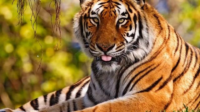 метро исход на слабом ПК(пробная версия стрима) смотреть онлайн