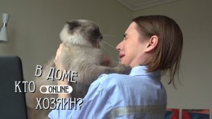 МОЙ КОТ НА МЕНЯ ОХОТИТСЯ