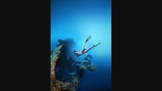 'Life is a rollercoaster' by JAROON смотреть онлайн