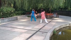 Тайцзицюань с веером в замедленном ритме_учим движения (28 форма Тайцзи)