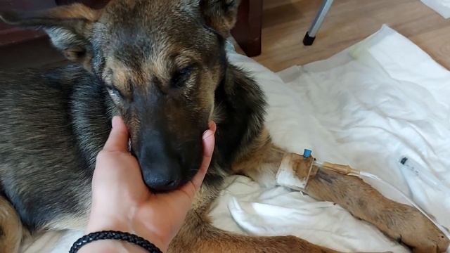 Антистрессовое счастье