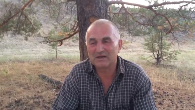 Стихи читает Геннадий Парфенович смотреть онлайн