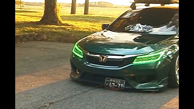 Bagged Honda Accord Mini DV смотреть онлайн