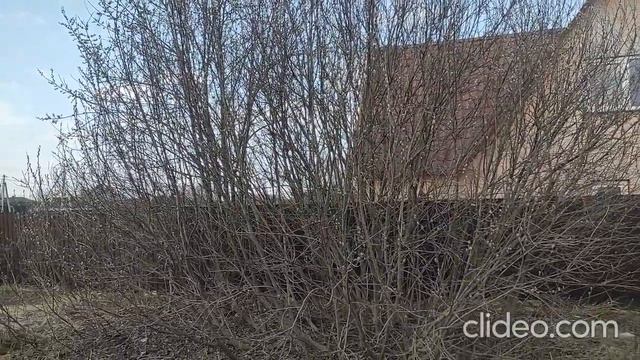 Участок ИЖС в Ахтиминеево. Талдом смотреть онлайн