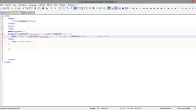 10 Request Variables, Server, Session Variables, Cookies, User IP Address смотреть онлайн