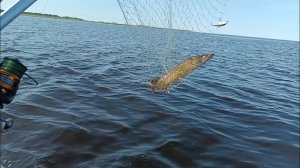 Продолжение... Рыбалка на Ладоге !!!