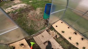 ПОСАДКИ  В ТЕПЛИЦЕ  ПОД КАРТОН  ! [Жизнь в деревне]