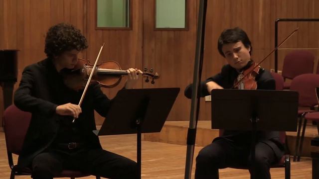 W.A.Mozart - Clarinet quintet K581 in A major (1st movement) смотреть онлайн