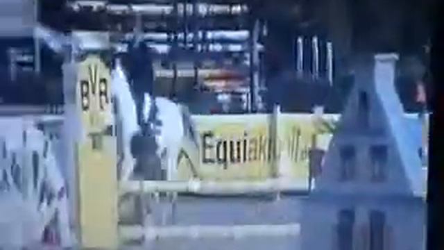 9 y old mare by Cornet Obolensky, 1 50 m placed смотреть онлайн