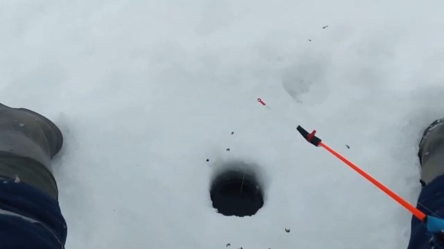 рыбалка 2021 на оз. Чаны, ловля окуня со льда..... смотреть онлайн