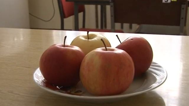 ТВЭл - Работа детского отделения стационара смотреть онлайн