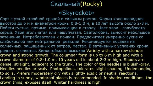 #Можжевельник5 #Хвойные #растения5 #Декоративные растения смотреть онлайн
