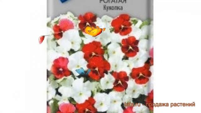 Фиалка рогатая Куколка (kukolka) ? рогатая фиалка Куколка обзор: как сажать, семена фиалки Куколка смотреть онлайн
