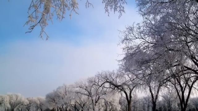 Вернувшись раньше, Жанна решила спрятаться и сделать мужу сюрприз, но подслушав, чуть не обомлела смотреть онлайн