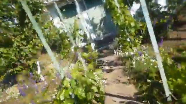 Раппорт с огорода. S01E11. Труба синичкам смотреть онлайн