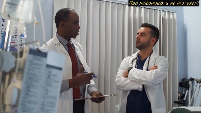 Ради шутки друзья закопали парня в песок не думая, что с ним случится через пару часов! смотреть онлайн