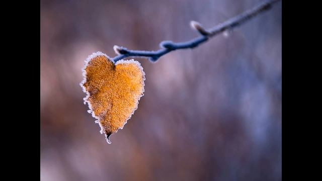 Красивая зима\Картинки :))) смотреть онлайн