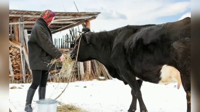 Традиции и обычаи,приметы и поверья на 27 января 2021 г. смотреть онлайн