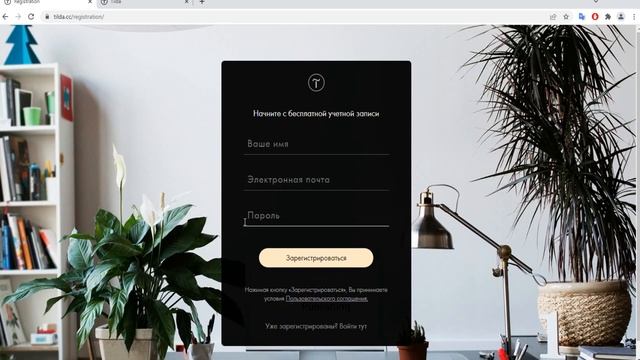 Регистрация на Тильде смотреть онлайн