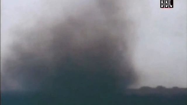 Животный мир земли. Дикие собаки. Койот смотреть онлайн