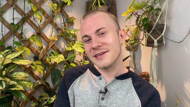 The Most Overrated Houseplants смотреть онлайн